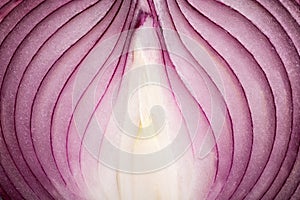 Ripe onion macro