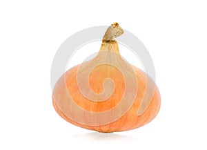 Ripe onion