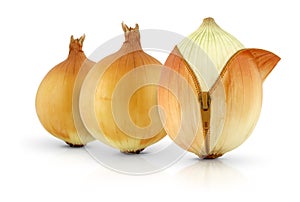 Ripe onions, creative concept