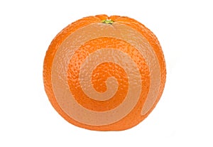 Ripe Orange