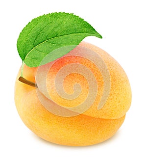 Ripe orange apricot with green leaf isolated