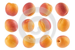 Ripe orange apricot with pink side - rich collection, whole fruit, different sides isolated on white background.