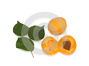 Ripe orange apricots with leaves and stone on white background. Isolated