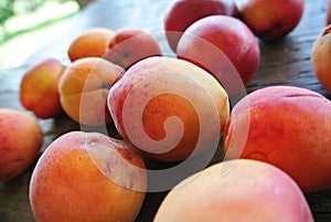 Ripe orange apricots on the rustic wooden table.