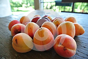 Ripe orange apricots on the rustic wooden table, on a sunny summer day.