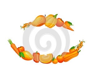 Ripe Orange Fruits and Vegetables Borders Vector Illustration