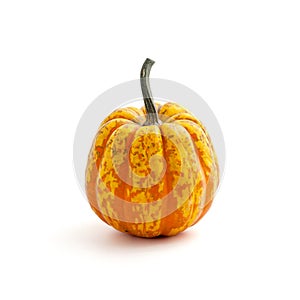 Ripe orange-green pumpkin on a clean white background. Isolated