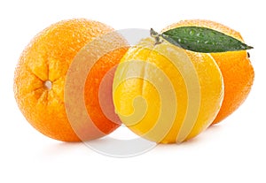 Ripe orange isolated on white with clipping path