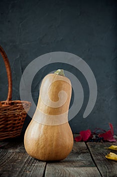 Ripe orange pumkin stading on the rustic wooden table on the dark stone background. Vegetarian, Autumn harvest, thanksgiving, hall