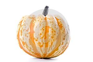 Ripe orange pumpkin on white background. Fresh head of gourd isolated on white. Studio shot. Close up.
