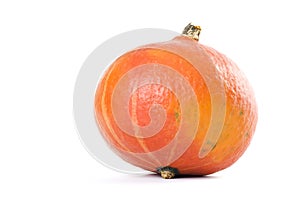 Ripe orange pumpkin on white background. Fresh head of gourd isolated on white. Studio shot. Close up.