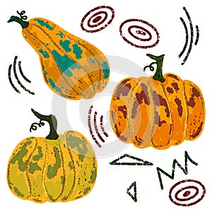Ripe orange pumpkins. Vector grainy set
