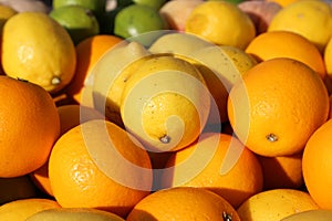 Ripe Orange and Sicilian lemons for sale in greengrocers shop in
