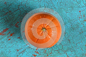 Ripe Orange Viewed from Above