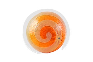 Ripe orange on white background