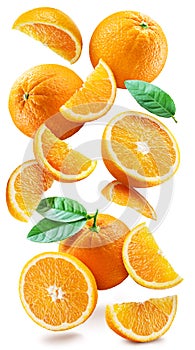 Ripe oranges with halves and slices with orange tree leaves randomly fall or levitate on a white background