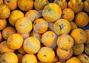 Ripe oranges harvested from plantation.