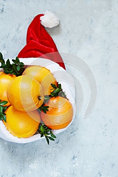 Ripe oranges in the hat of Santa Claus with boxwood plant on a blue background. Festive mood