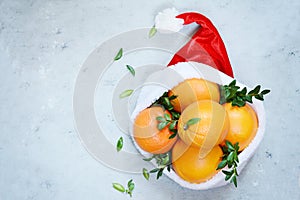 Ripe oranges in the hat of Santa Claus with boxwood plant on a blue background. Festive mood, Christmas and New Year.