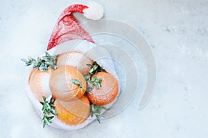 Ripe oranges in the hat of Santa Claus with boxwood plant on a blue background. Festive mood, Christmas and New Year.