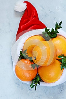 Ripe oranges in the hat of Santa Claus with boxwood plant on a blue background. Festive mood