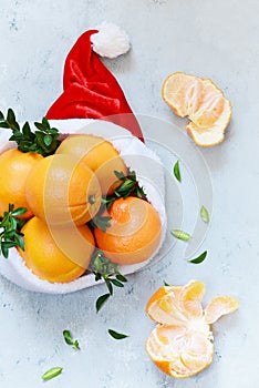 Ripe oranges in the hat of Santa Claus with boxwood plant on a blue background. Festive mood