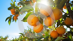 Ripe Oranges on Lush Tree Under Blue Sky Ai generated