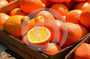 Ripe oranges for sale