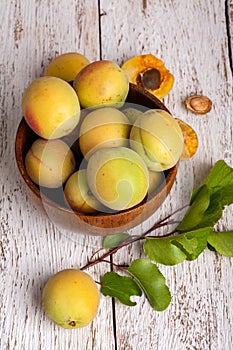 Ripe organic apricots fruits in ash tree wooden bowl