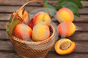 Ripe Organic Apricots in wicker basket with fresh leaves on a  wooden table