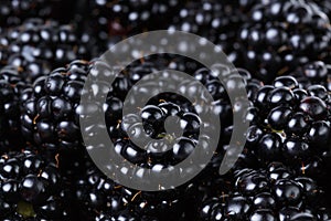 Ripe organic blackberries close up