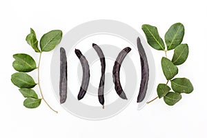 Ripe organic carob fruit pods and green leaves from locust tree on white background. Healthy alternative to cocoa and sugar
