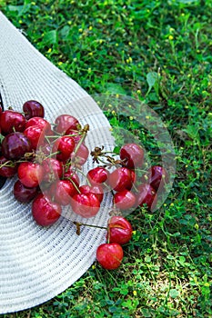 Ripe Organic Freshly Picked Sweet Cherries in Straw Hat Scattered on Green Grass in Garden. Nature Background. Summer Harvest