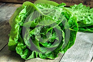 Ripe organic green salad Romano