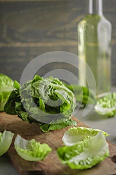 ripe organic green salad Romano on a cutting board