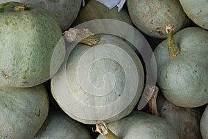 Ripe organic grey pumpkins