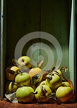 Ripe organic grown apples with leaves in wooden box in bright sunlight with copyspace. Natural fruit from garden concept image