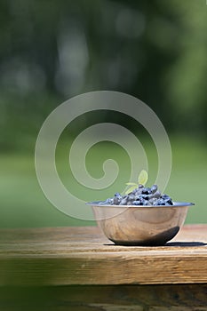 Ripe organic honeyberry in bowl on table in farm.