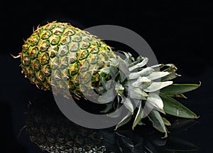 Ripe Organic Pineapple isolated on a black mirror background. Ananas comosus from Bromeliaceae family