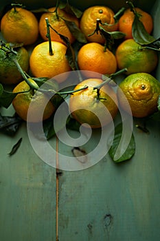 Ripe organic tangerines with leaves in wooden box in bright sunlight with copy space. Natural tropical fruit concept image