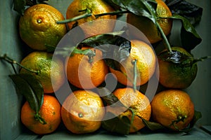 Ripe organic tangerines with leaves in wooden box in bright sunlight with copy space. Natural tropical fruit concept image