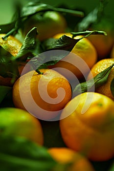 Ripe organic tangerines with leaves in wooden box in bright sunlight with copy space. Natural tropical fruit concept image