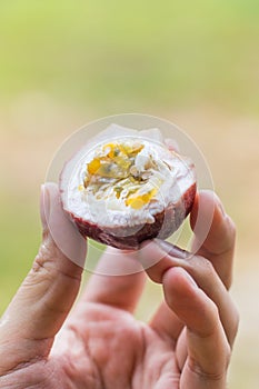 Ripe passion fruit in the hand