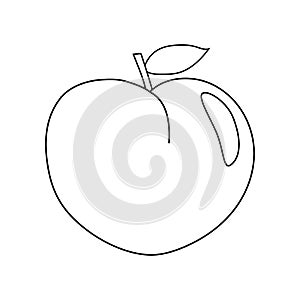 Ripe peach fruit with leaf, doodle style vector outline for coloring book
