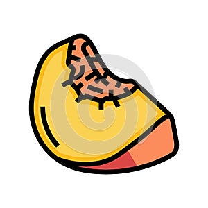 ripe peach slice color icon vector illustration