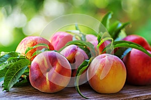 Ripe peaches and leaves