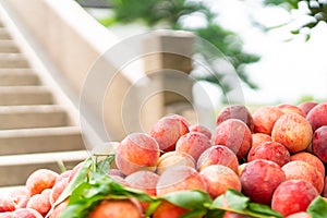 Ripe peaches pile with leaves on a Chinese bridge background