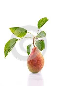 Ripe pear