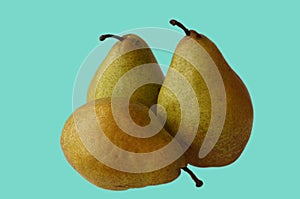 Ripe pears against light green background,front view