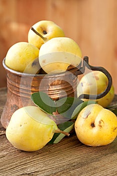 Ripe pears in copper jug